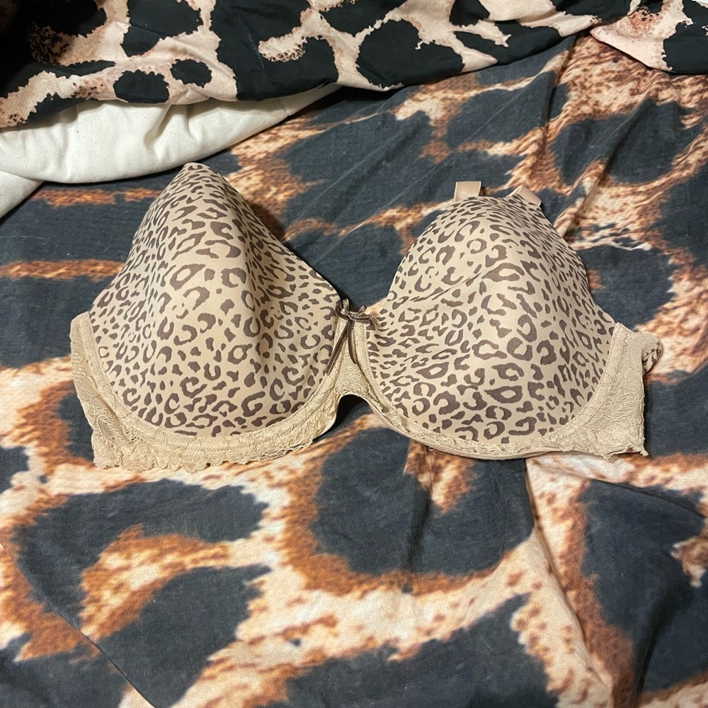 40 d bra
